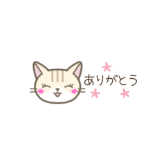 [LINEスタンプ] 【小さい】トラ猫さん