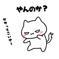 [LINEスタンプ] よわよわ猫 キレてる編