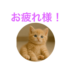 [LINEスタンプ] ハッピー子猫のスタンプ