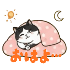 [LINEスタンプ] ハチワレMIRUさんc
