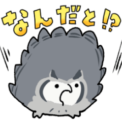 [LINEスタンプ] ゆる顔フクロウ
