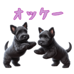 [LINEスタンプ] [オッケー専用]スコティッシュテリアベビー