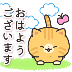 [LINEスタンプ] 茶トラ猫の飛び出すスタンプ(やや秋)