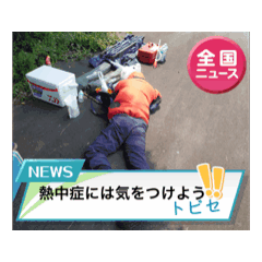 [LINEスタンプ] トビセ株式会社愉快なスタッフ 