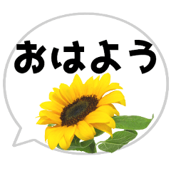 [LINEスタンプ] *花* ひまわり＆吹き出し