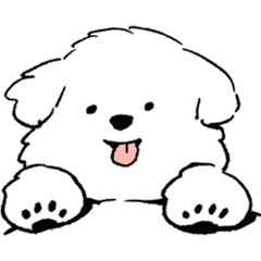 [LINEスタンプ] マルチーズ・ムンゲのほっこりスタンプ