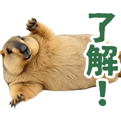 [LINEスタンプ] マーモットとビーバーの使いやすいスタンプ