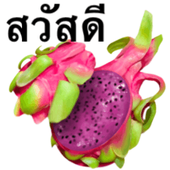 [LINEスタンプ] 南国のドラゴンフルーツ 【タイ語のみ】