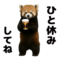 [LINEスタンプ] 動く！レッサーパンダ3