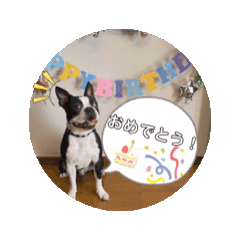 [LINEスタンプ] みろすけスタンプ fetchpriority=high