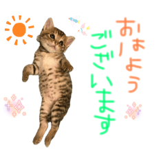 [LINEスタンプ] みゅうみゅう2025