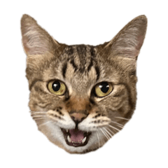 [LINEスタンプ] 石神家の毛玉たち7  むーちゃんセット