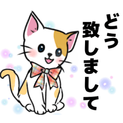 [LINEスタンプ] 可愛いネコの日常❤️