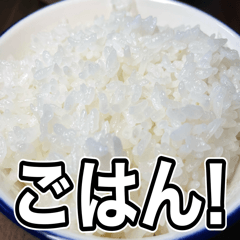 [LINEスタンプ] 米しか勝たん…おいしいごはん