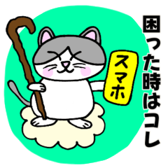 [LINEスタンプ] コロン様 【デブ猫 仙人】毎日使える