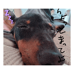 [LINEスタンプ] ウル太郎スタンプ 