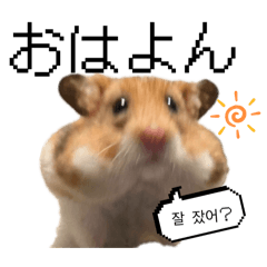 [LINEスタンプ] たまに韓国語のハムさん