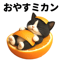 [LINEスタンプ] ハチワレ猫のダジャレ地獄