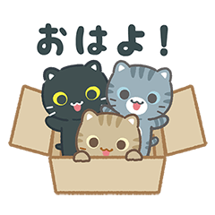 [LINEスタンプ] 飛び出す！3びきのこねこ♪