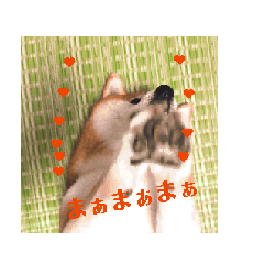 [LINEスタンプ] ワンコまるスタンプ 