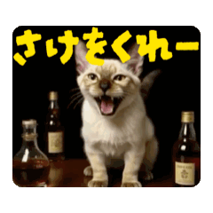 [LINEスタンプ] お酒とネコ好きな日常会話61