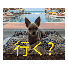 [LINEスタンプ] 秋だね 1