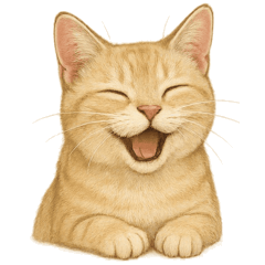 [LINEスタンプ] クリーム色のアメリカンショートヘア