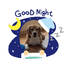 [LINEスタンプ] ワンコロリンスタンプ 