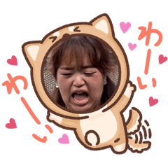 [LINEスタンプ] きぽの日常☀️