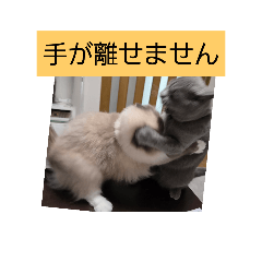 [LINEスタンプ] あおルナのお言葉