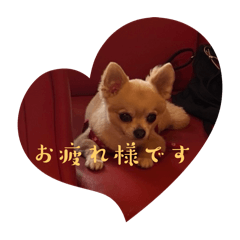 [LINEスタンプ] アエラのスタンプ2