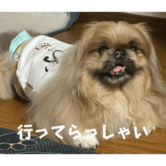 [LINEスタンプ] 王子ありがとう