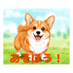 [LINEスタンプ] 動く！コーギーのスタンプ 