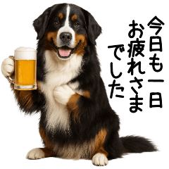 [LINEスタンプ] バーニーズマウンテンドッグ★よく使う敬語