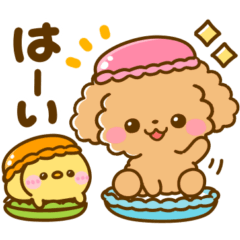 [LINEスタンプ] ちょっと休憩♡トイプードル