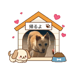 [LINEスタンプ] Chaco.❤︎ 