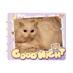 [LINEスタンプ] Ruiruinonitijyou 