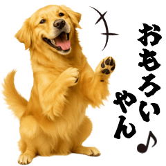 [LINEスタンプ] ゴールデンレトリバー☆むっちゃ使う関西弁