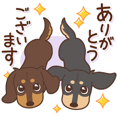 [LINEスタンプ] ダックス大好き！仲良しラブラブつめあわせ