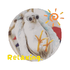 [LINEスタンプ] ヒメウズラの一日 動くスタンプ 