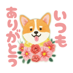 [LINEスタンプ] 気持ちを伝えるコーギー