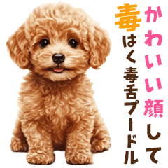 [LINEスタンプ] 毒舌トイプードルの日常会話