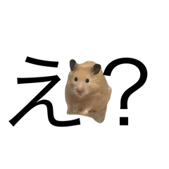 [LINEスタンプ] キンクマハムスターのおかかくん