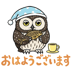 [LINEスタンプ] シマフクロウとの日々～日常会話編～