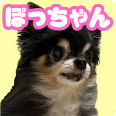 [LINEスタンプ] ぽっちゃん-カワイイ-