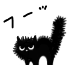 [LINEスタンプ] くま時々くろねこ