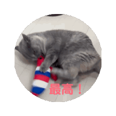 [LINEスタンプ] 動くマリーさん 