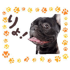 [LINEスタンプ] れのくんで話そう♬
