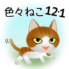 [LINEスタンプ] 色々な猫12-1 短毛-立ち耳-茶トラ白