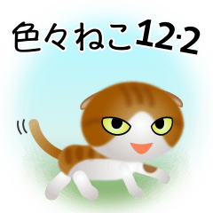 [LINEスタンプ] 色々な猫12-2 短毛-垂れ耳-茶トラ白